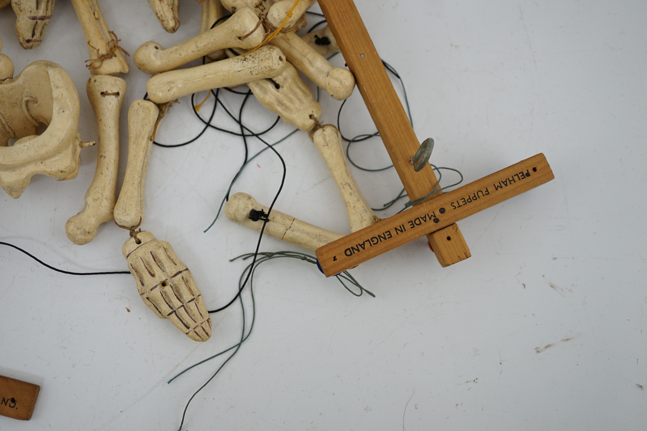 Two Pelham puppet skeletons
